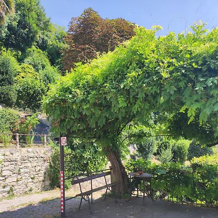 Villa Antonella, App. Vittoria Tavernerio 外观 照片