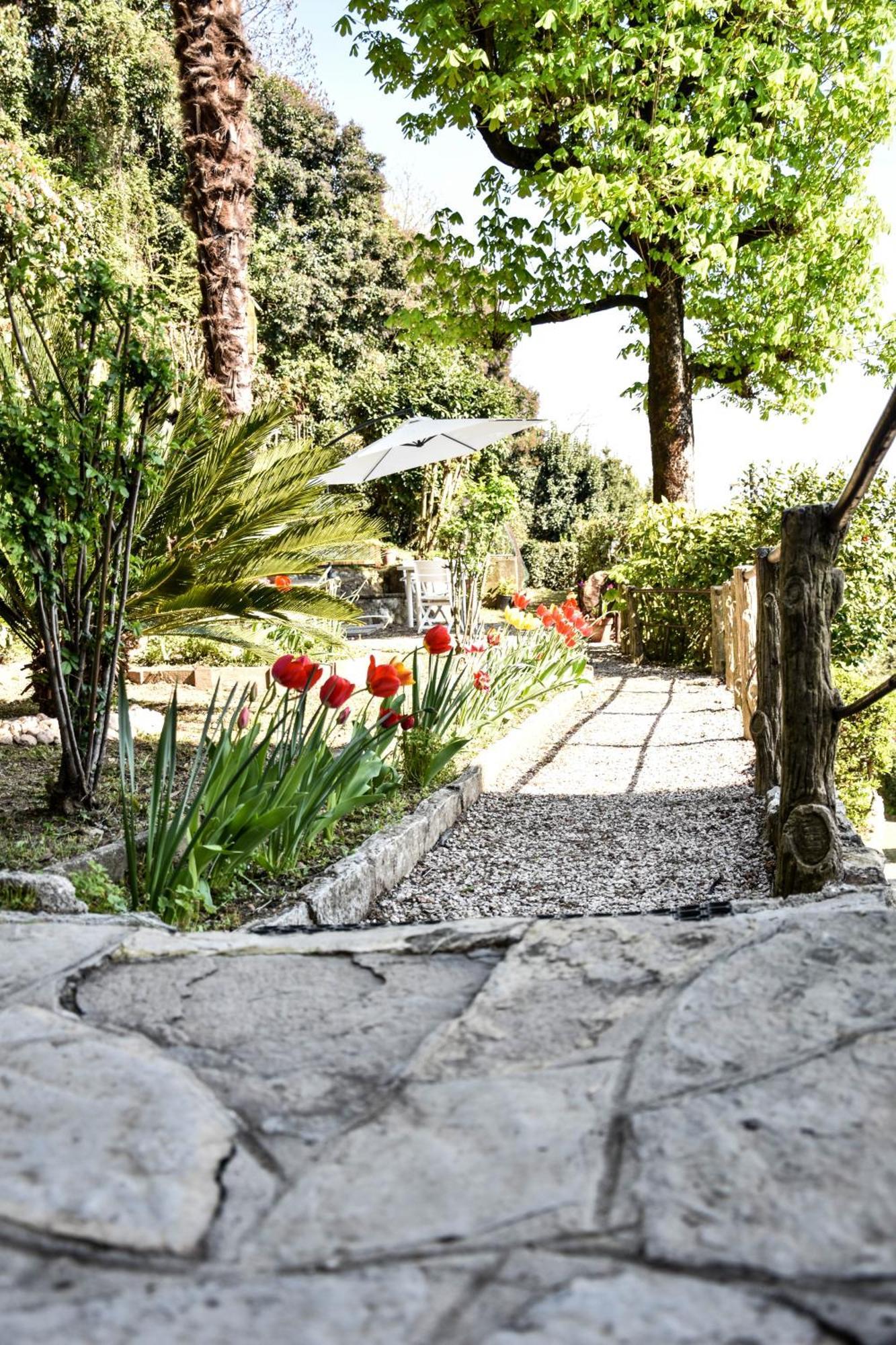Villa Antonella, App. Vittoria Tavernerio 外观 照片