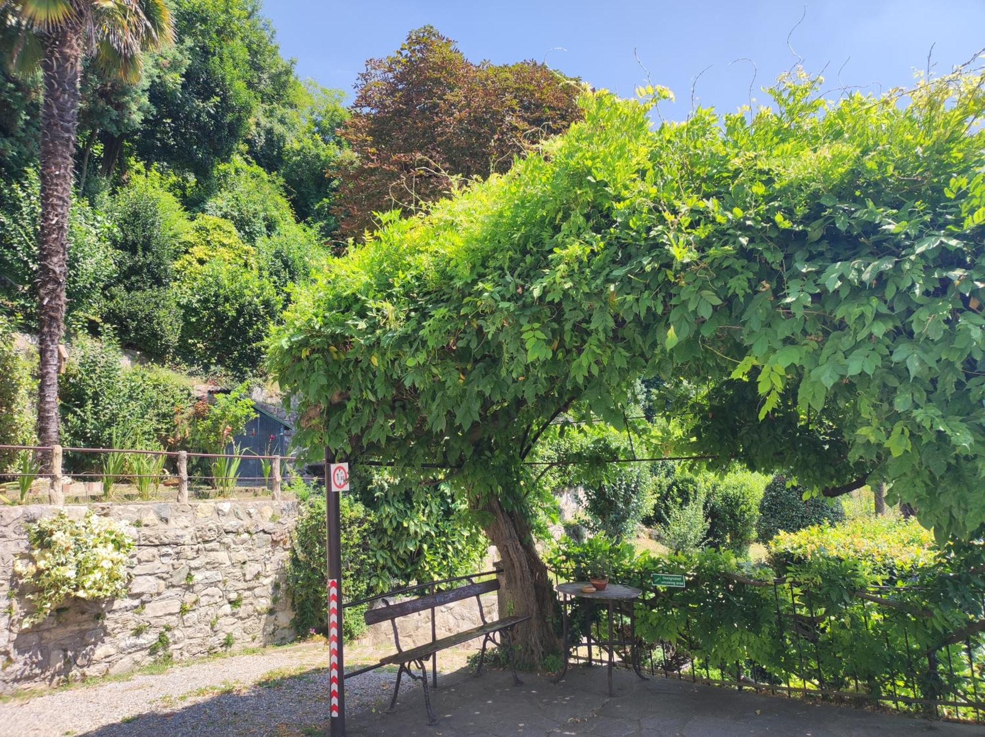 Villa Antonella, App. Vittoria Tavernerio 外观 照片
